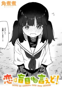 b915awnmg02888