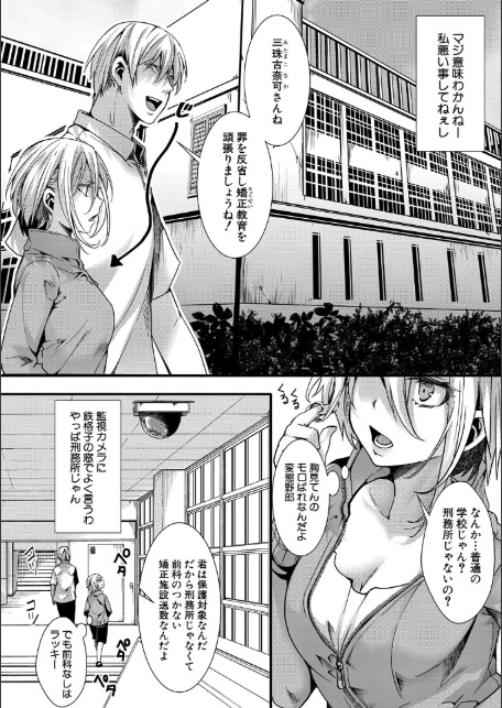 少女A矯正交尾 -人生舐めプ中のメスに肉棒で再教育しちゃいました-【FANZA特装版】-4