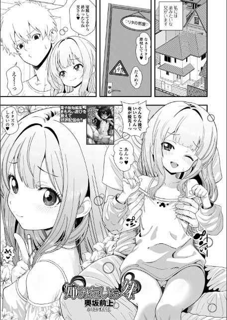 コミックMate L Vol.66-11