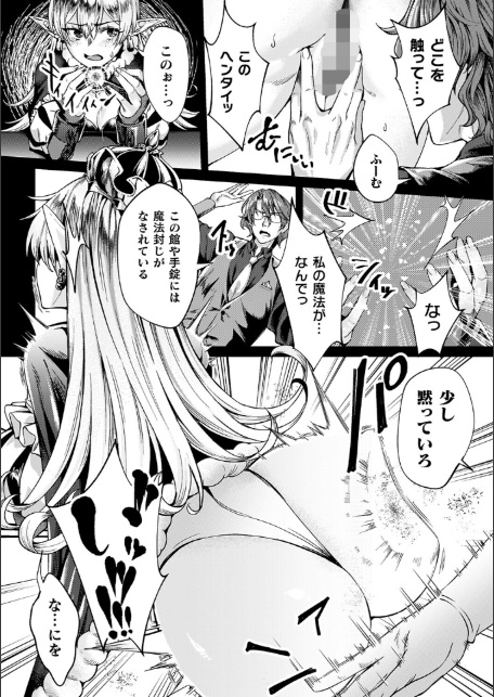黒獣外伝 淫慾の大娼館 THE COMIC【電子書籍限定版】-14