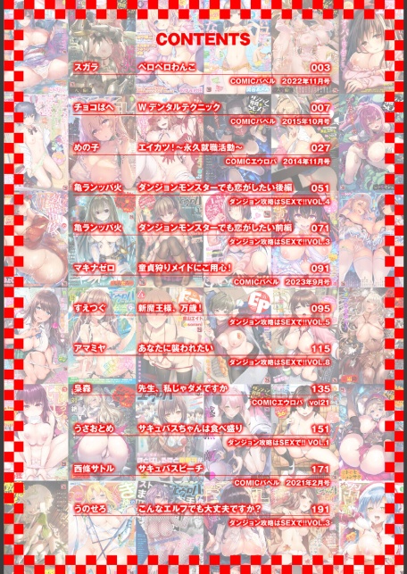 2026年新春福袋エロエロビッチパック【期間限定販売商品】-2