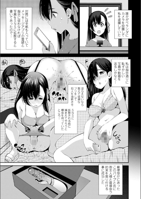婬キャびっちのご褒美セックス【デジタル版】-13