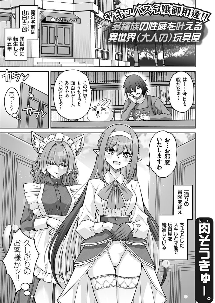 サキュバス令嬢御用達！！ 多種族の性癖を叶える異世界（大人の）玩具屋-1