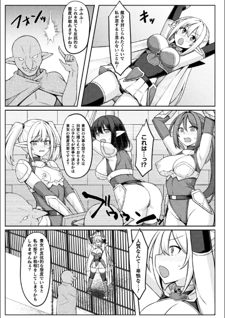 姫騎士陵● 〜陥落の監獄〜【単話】-5