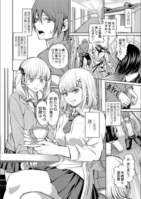 ざ・ふぃめーる・どみねーしょん【デジタル特装版】-6