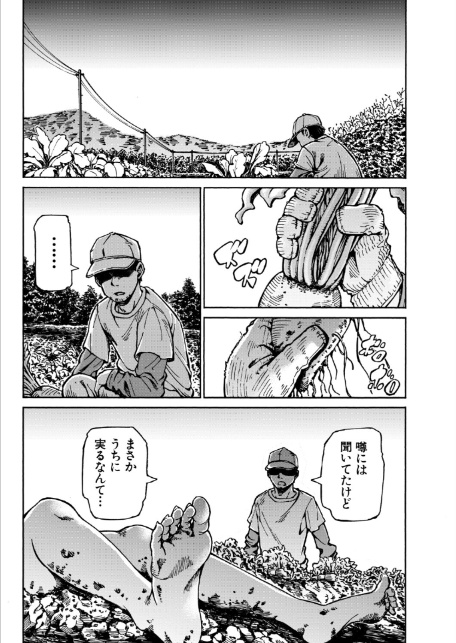 大根恋歌 （カエデミノル）-1