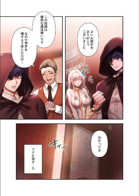 没落令嬢ですが、あなたにご奉仕させてください！【デジタル特装版】【FANZA限定版】1-11