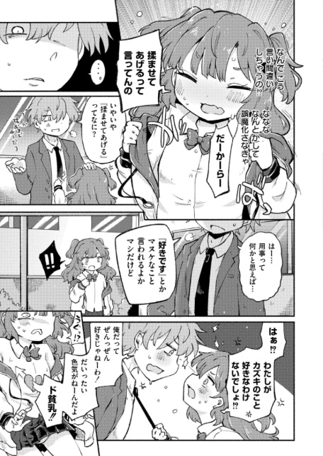 貧乳のくせに生意気だ！-3
