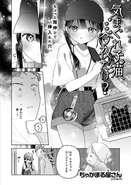 気まぐれ子猫、今夜だけ？-4