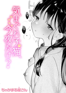 b915awnmg04272