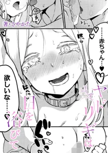 ヤドリギは日を浴びて