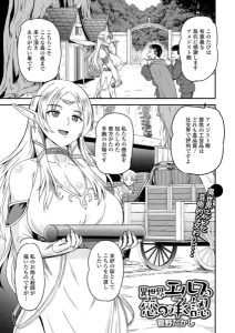 異世界エルフの恋の承認