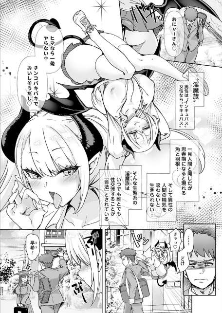 サキュバスだらけの世界で俺たちは…-サンプル画像1