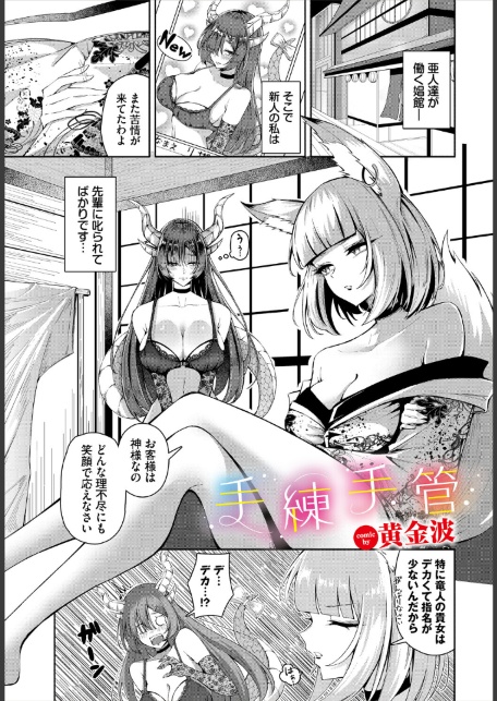 手練手管-サンプル画像1