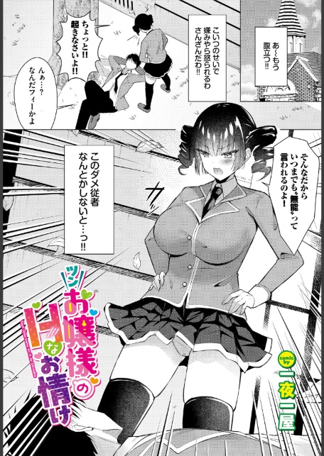 ツンお嬢様のHなお情け-サンプル画像1