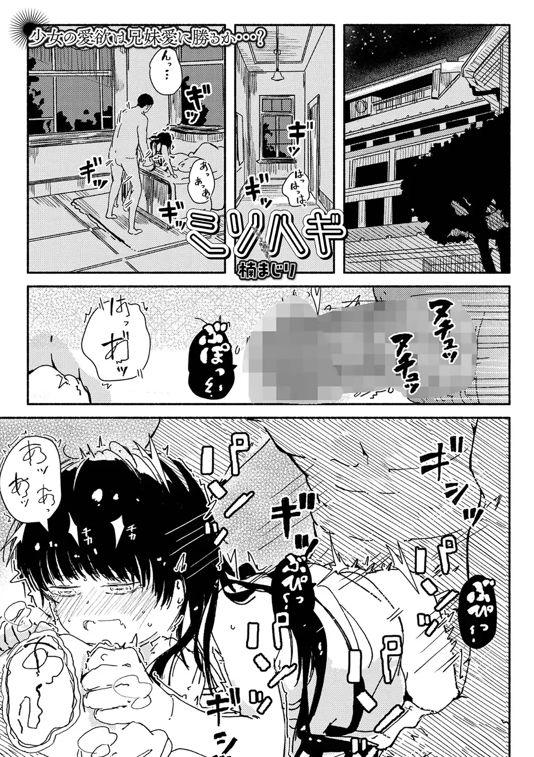 ミソハギ-サンプル画像1