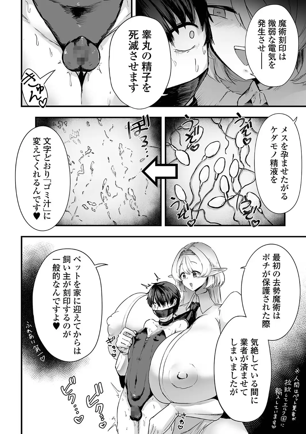 エルフ様の人間愛護管理法 ＃2-サンプル画像4