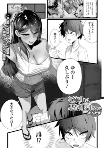 お姉さんは思春期（ボク）を許さない